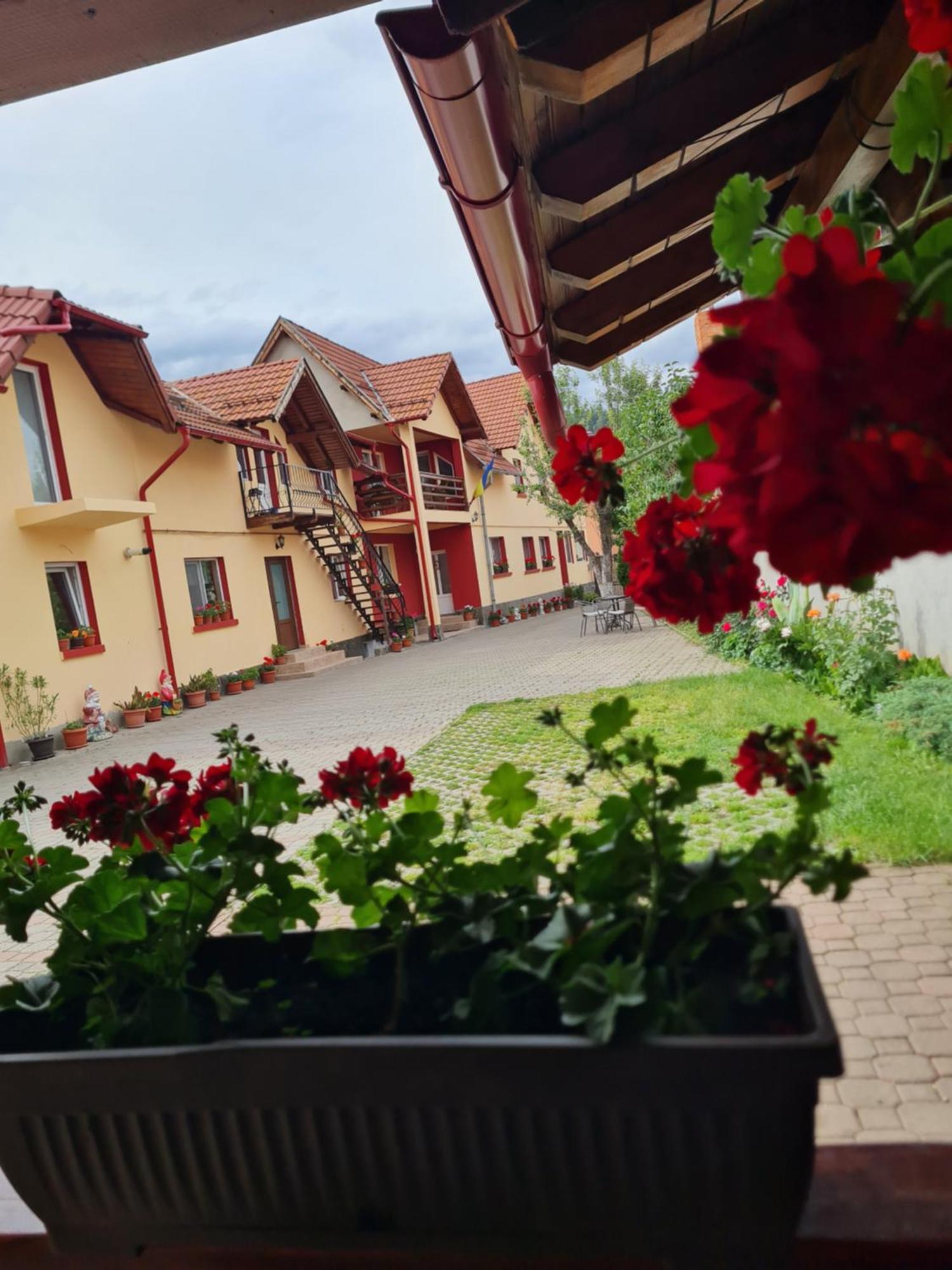 Vila Vladut Zarnesti Exterior photo